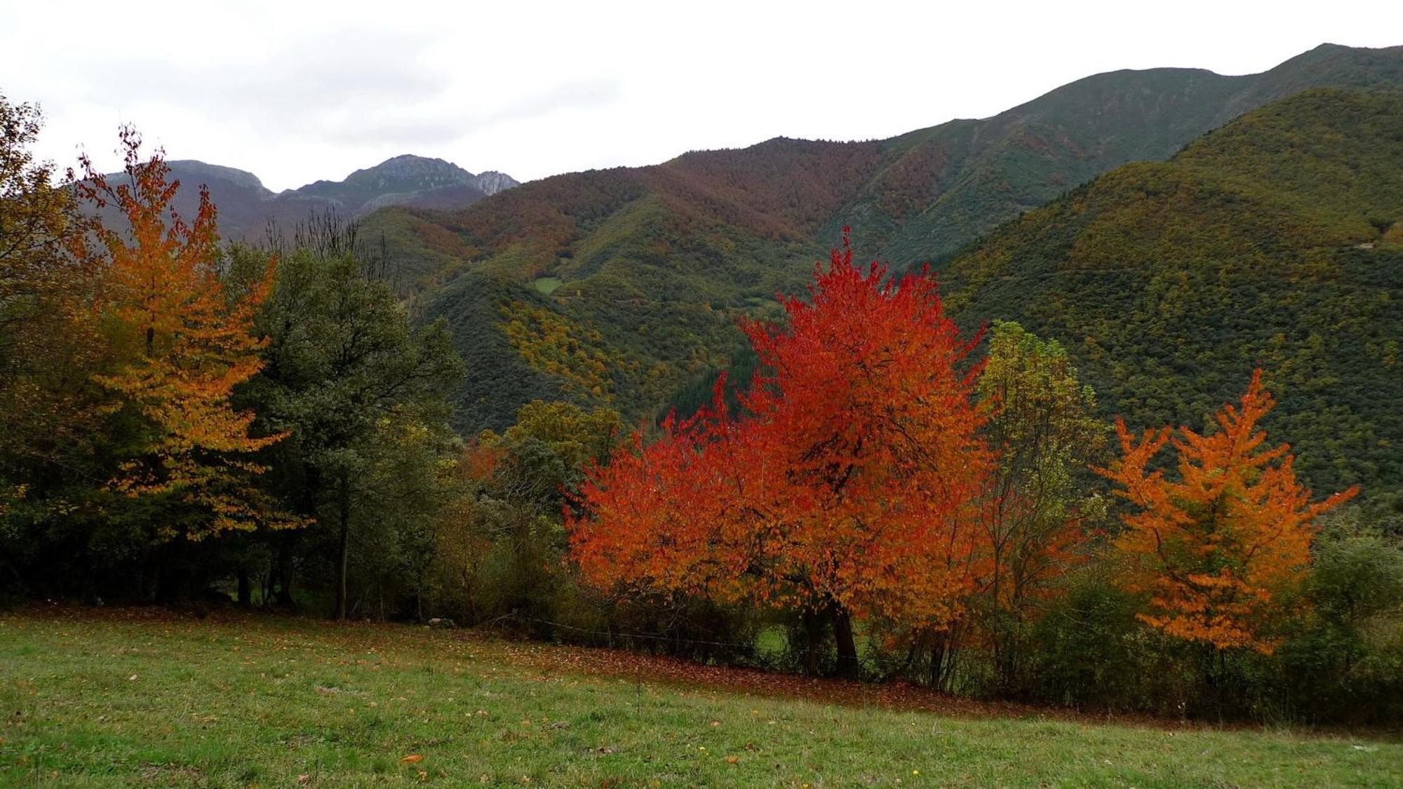 Casa Rural Los Llares Lerones Εξωτερικό φωτογραφία